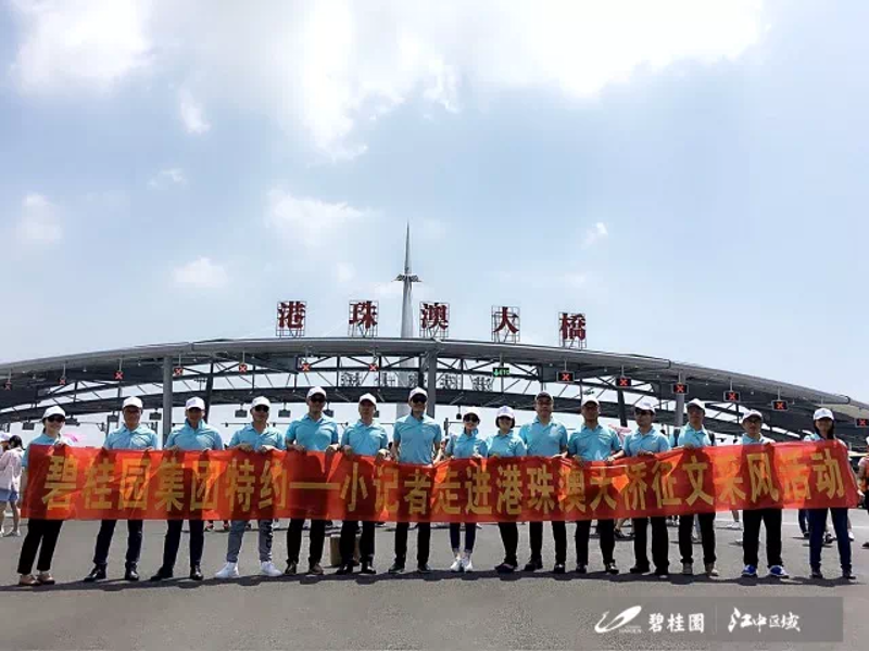 港珠澳大桥之旅：带你领略大湾区新风貌